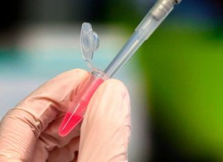 Existe posibilidad que se logre vacuna contra el COVID-19: Expertos