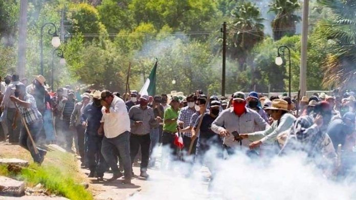 agresiones-chihuahua