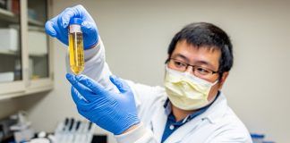 Científicos logran neutralizar el virus del COVID-9