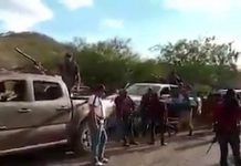 Picotazo Político / CJNG