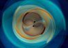 Detectan fuente de ondas gravitacionales