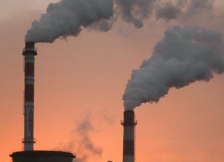 Emisiones globales de CO2 registraron incremento anual del 0.9%