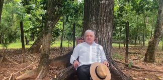 AMLO recomienda a Calderón seguir luchando