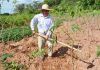 Procuraduría Agraria retoma acciones fundamentales en ejidos
