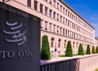 Dos mujeres avanzan a la ronda final por la dirigencia de la OMC