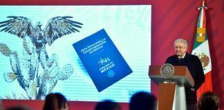 Artículo / El manual de Manuel