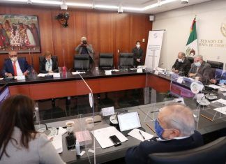 Comisiones del Senado avalan uso lúdico de mariguana