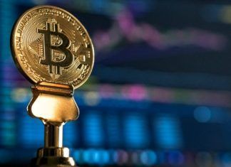 Bitcoin, la criptomoneda más utilizada