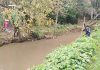 Chiapas / Hallan cuerpo de menor que cayó a río Amarillo