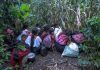 Picotazo Político / Chiapas grande, de políticos enanos