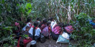 Chiapas / Atacan a disparos comunidades en Aldama