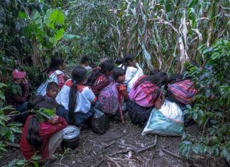Chiapas / Atacan a disparos comunidades en Aldama