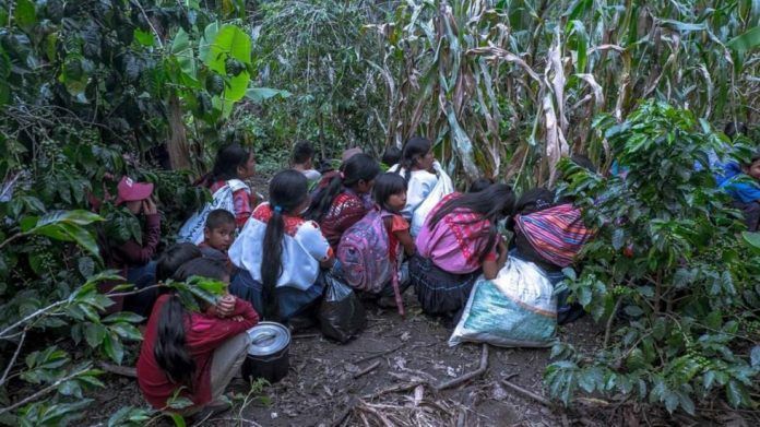 habitantes-del-poblado-maya-tsotsil-de-aldama-chiapas