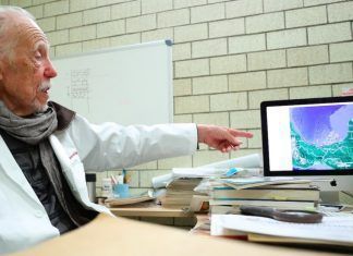 Refuerzan hipótesis que dinosaurios no se extinguieron por caída de meteorito