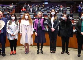Senado ratificó a Itzel Castillo como consejera independiente de Pemex