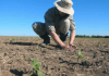 Yo Campesino / Contra el campo