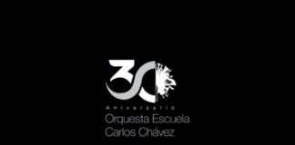 Homo Espacios / Reajustes culturales para iniciar 2021