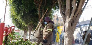 Ofrece Azcapotzalco 250 empleos temporales