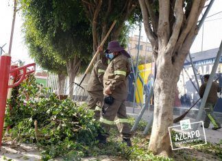 Ofrece Azcapotzalco 250 empleos temporales