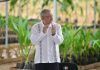 No se dejó en desamparo a Tamaulipas pese a diferencias con gobierno panista: AMLO