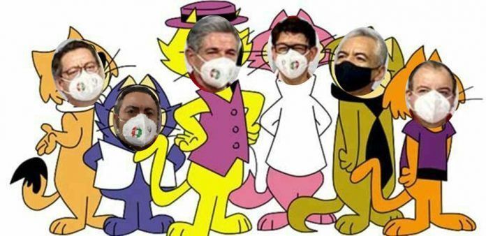 don gato