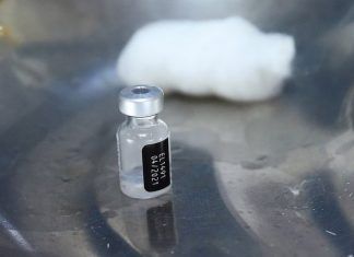 ONU alerta por vacunas falsas