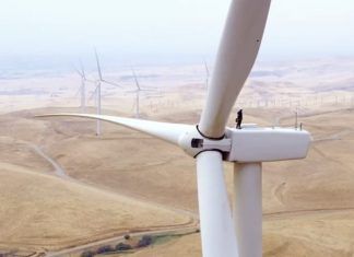Caen ingresos del rey de la energía solar y eólica, NextEra