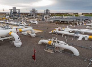 La libra IEnova en 2020, a pesar del Covid-19