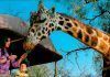 Estado de México / Pide ayuda Reino Animal para preservar especies