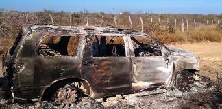 Tamaulipas / Identifican cuerpos de la masacre en Camargo