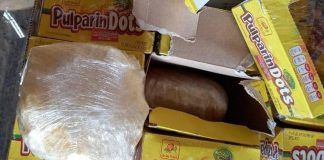Baja California / Sedena incautó 600 kilos de droga