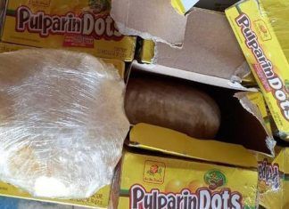 Baja California / Sedena incautó 600 kilos de droga