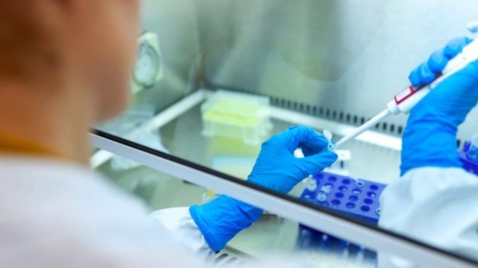 investigacion