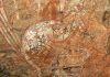 Canguro, protagonista de pintura rupestre en Australia