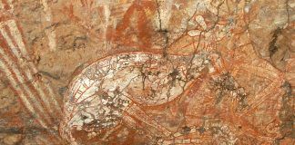 Canguro, protagonista de pintura rupestre en Australia