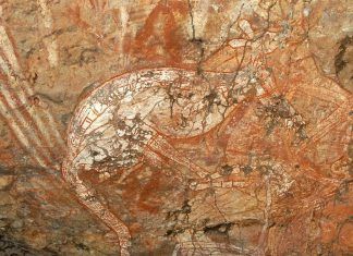 Canguro, protagonista de pintura rupestre en Australia