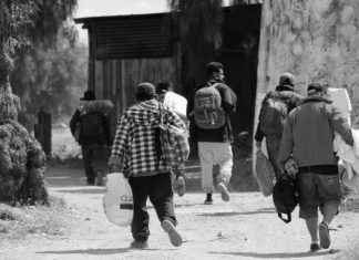 México recibió peticiones de migrantes que buscan asilo