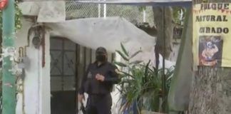 Activan protocolo para garantizar bienestar de mujer golpeada por su hijo