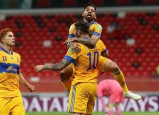 Aumentan candidatos a dirigir al Tigres