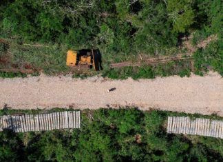 ESPECIAL / Tren Maya destructor