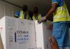 OMS obtuvo de COVAX 110 millones de vacunas anticovid