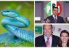 Índice Político / “Alito” les busca chichis a las culebras, El dirigente del PRI es Moreira, Impondrán a Viggiano y perderá