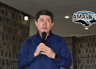 Lanzan convocatoria para creación de mascota oficial de AMAV