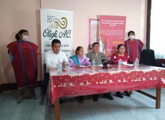 Racista, el plan para eliminar al Instituto de Lenguas Indígenas en México: Otigli