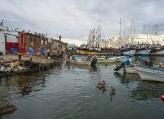 Presenta Oceana amparo para frenar deterioro pesquero en México