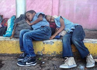 Artículo / Niñez migrante, en constante peligro