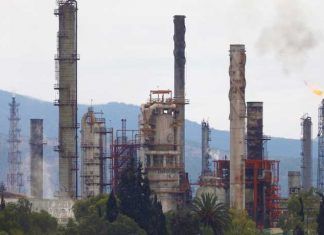 Guerrero / “Ecocidio” en Petacalco a causa de termoeléctrica de CFE