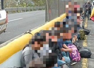 Veracruz / Se accidenta tráiler con indocumentados