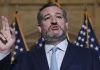 AMLO aseguró que le da «orgullo» declaraciones de senador estadounidense Ted Cruz