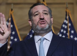 AMLO aseguró que le da «orgullo» declaraciones de senador estadounidense Ted Cruz
